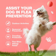 Dog Flea And Tick Treatment Chews FleaTick Prevention For Dogs Chewables Natural Dog Flea & Tick Control Soft Treats Immune Support Supplement CANNOT Be Listed For Sale On Amazon