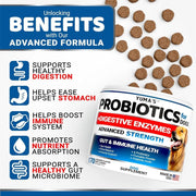 2 Pack Probiotics For Dogs And Digestive Enzymes Dog Probiotics Chews Anti Diarrhea Upset Stomach Gas Relief Constipation Canine Prebiotic Pet Fiber Supplement 340 Chews